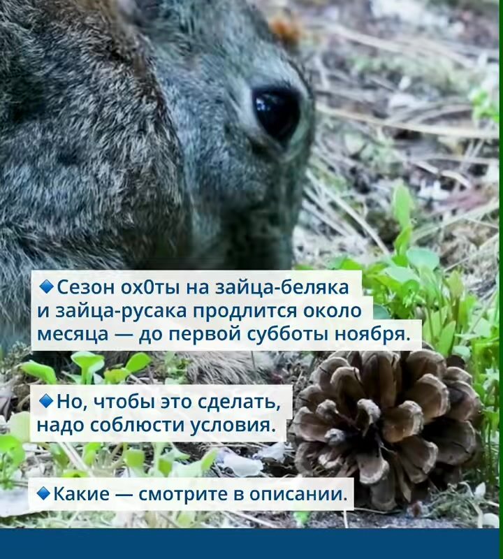 cover-70