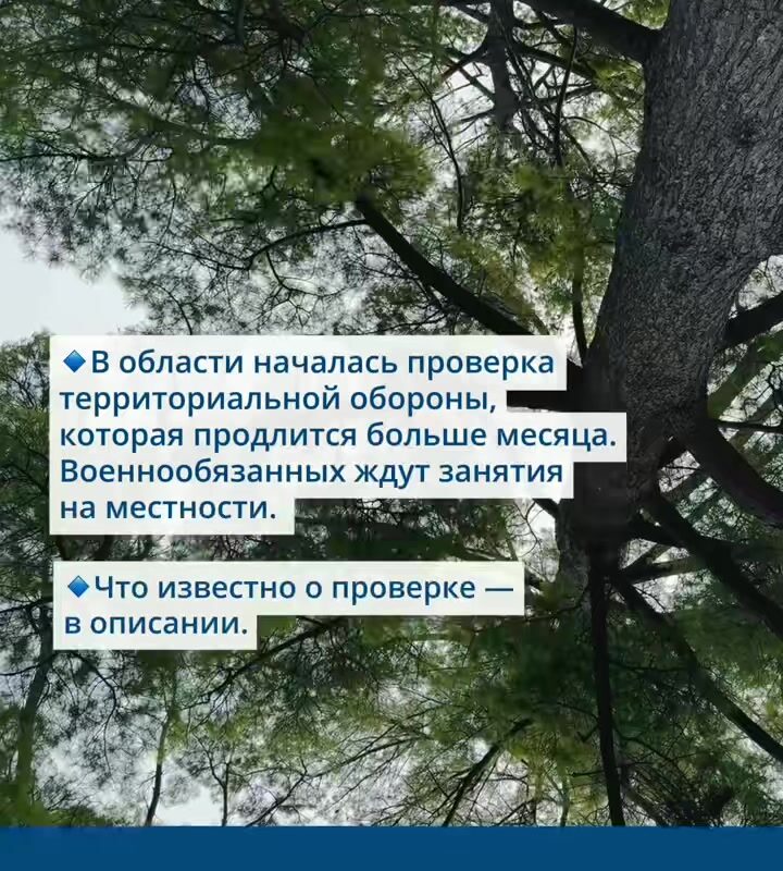 cover-32