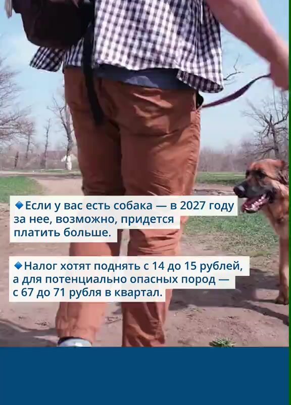 cover-34